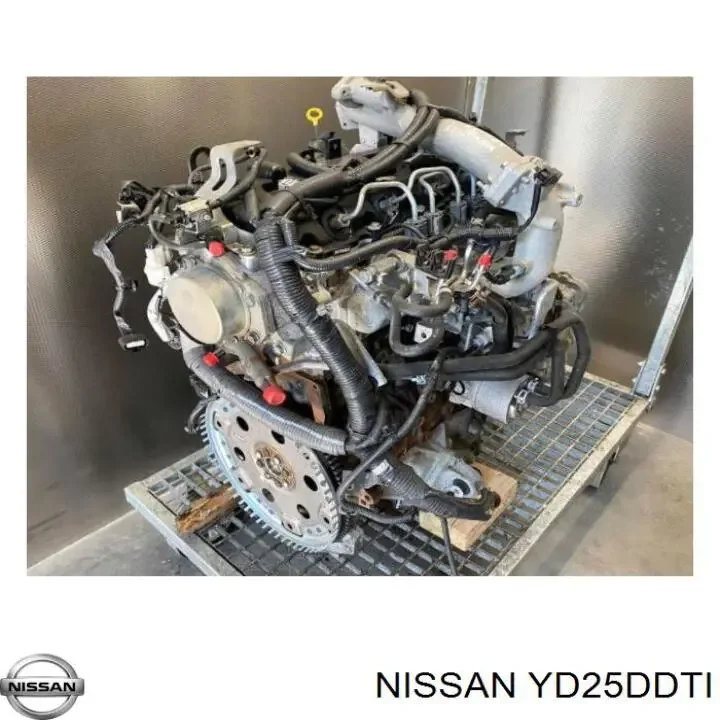 Nissan YD25DDTi Engine product image