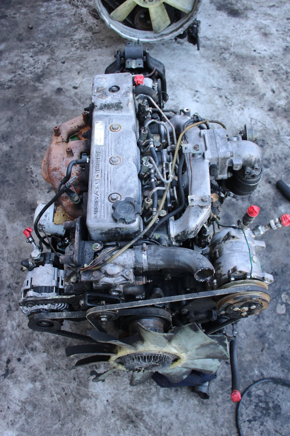 NISSAN FD46 ENGINE reference photo
